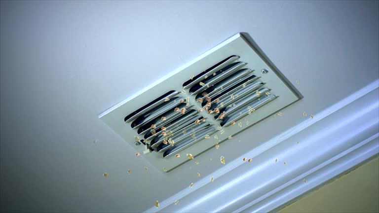 Best General Air Duct Cleaning  in Laurens, SC